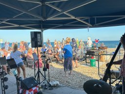 A view from the back at Pagham